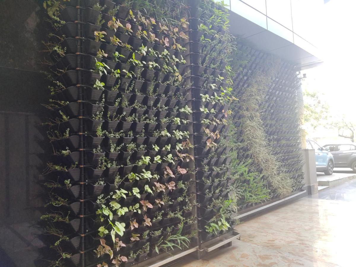 Delhieez - A Boutique Hotel Neu-Delhi Exterior foto
